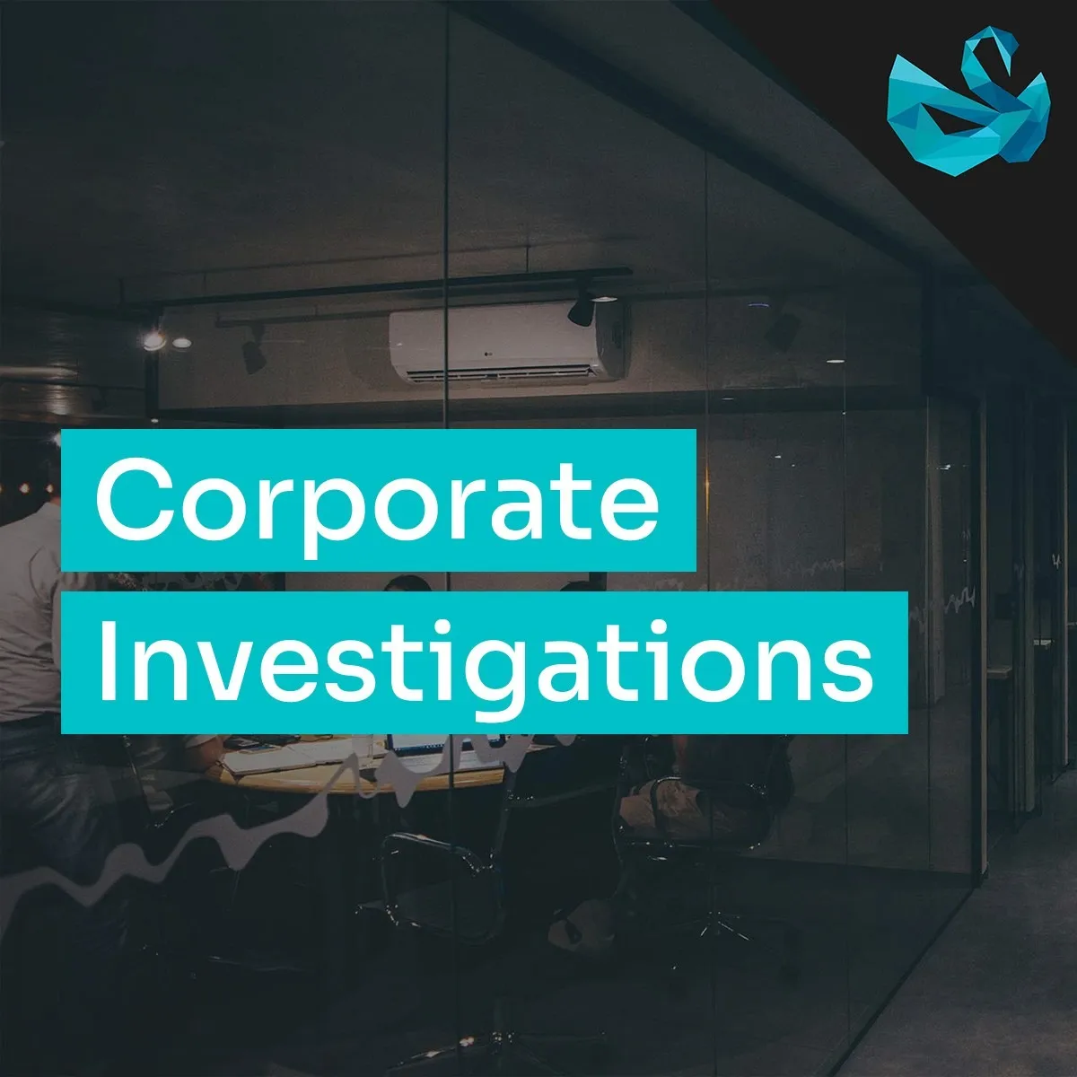 Corporate Investigations