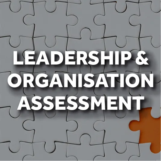 Leadership & Organisation Assessment