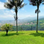 Maison T3 à Funchal