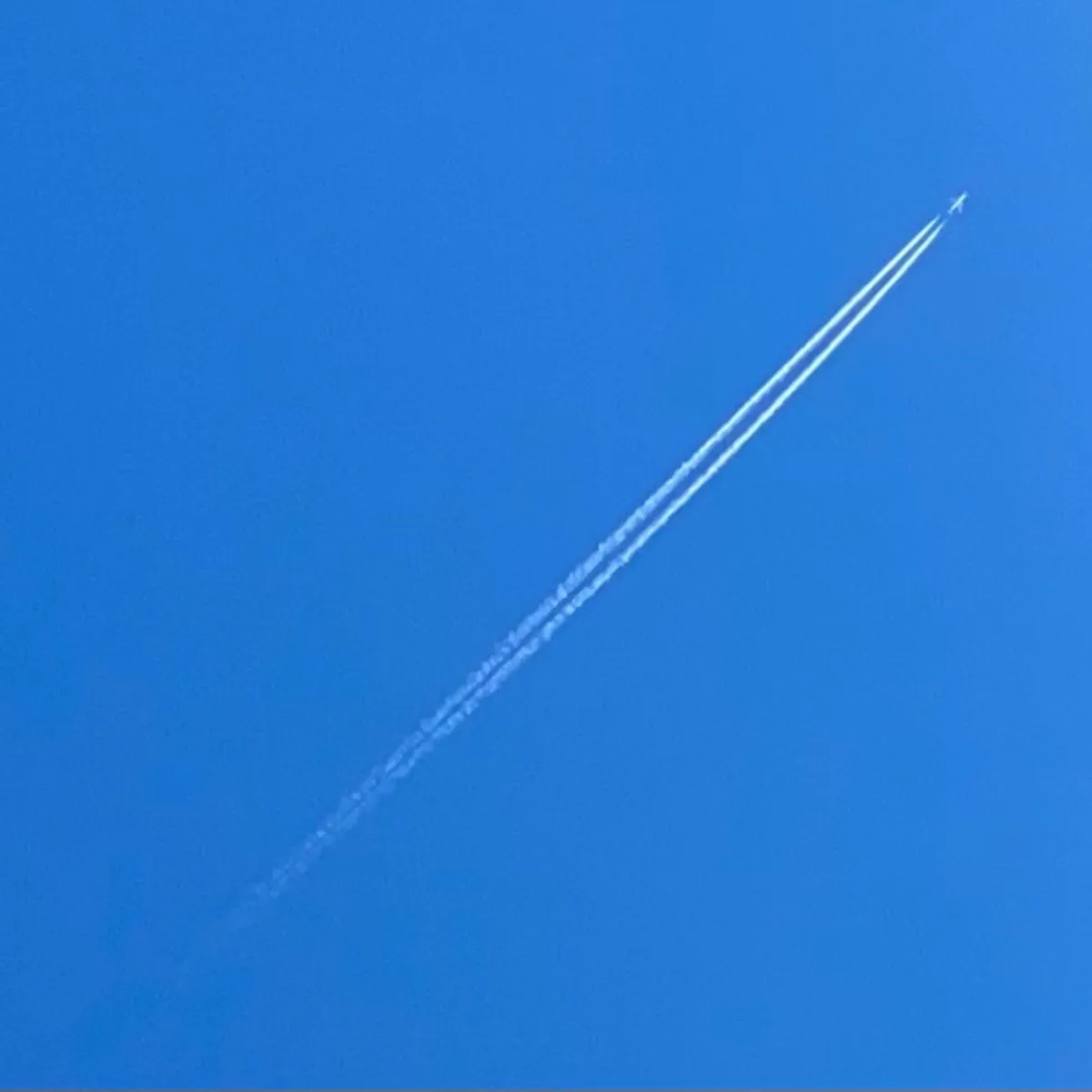 Triplake Website Portal