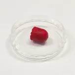 CollaOss Plug (Xenogenic Bone with Collagen)