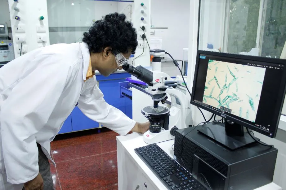 Chemical Development Solutions