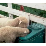Jug Waterers and Mineral Feeders get a quote and enter coupon code AG2020 for $40 off during the show