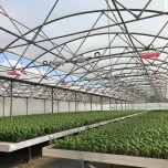 Eclairage jeunes plants et semences