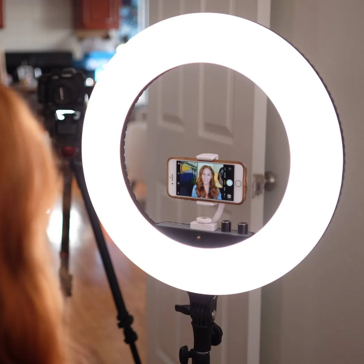 Halo Series of Ring Lights, SKU: Assorted