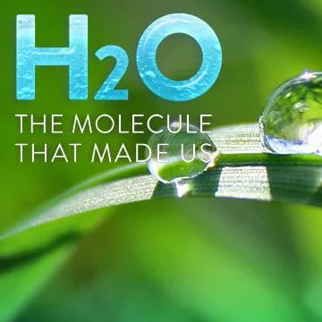 H2O: The Molecule that Made Us