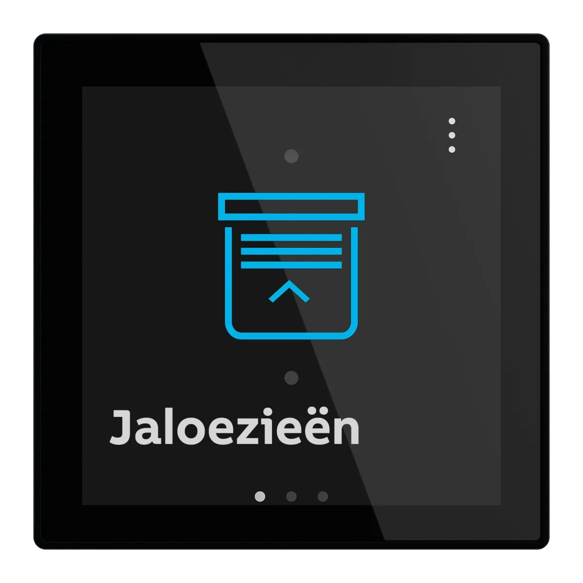 Busch-RoomTouch® 4”