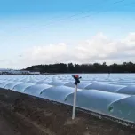 Irrigation