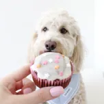 Cupcake Mixes for Dogs