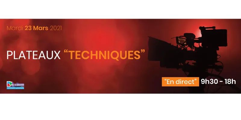 ATELIER Enedis "Quel accompagnement des collectivités locales vers les enjeux de demain ?"