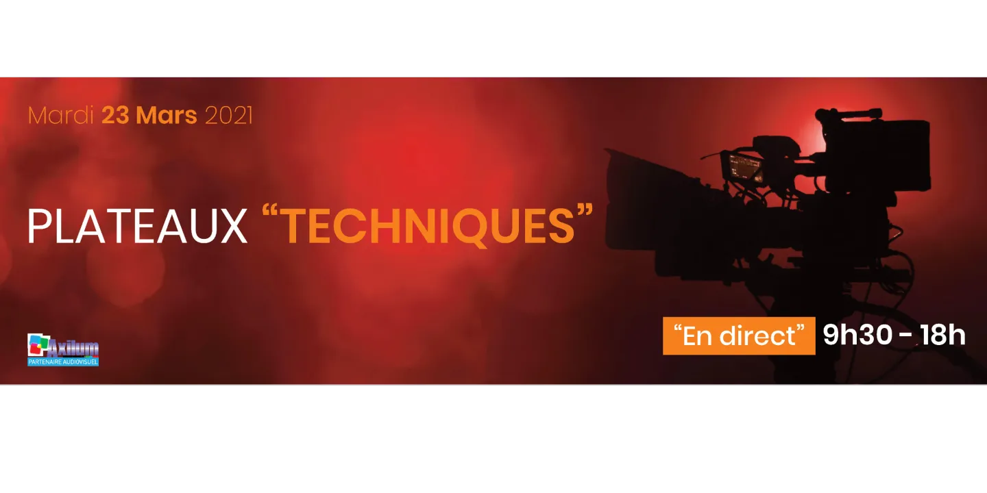 ATELIER Enedis "Quel accompagnement des collectivités locales vers les enjeux de demain ?"