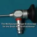 The Multipurpose Rigid Endoscope for the Small Animal Practitioner