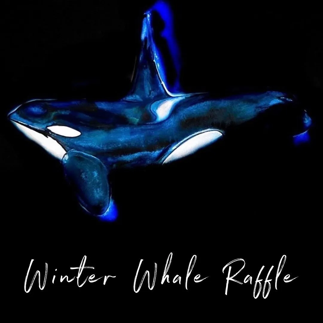 Winter Whale Raffle