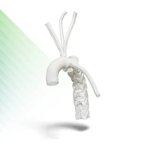 E-vita Open Neo - Frozen Elephant Trunk Hybrid System