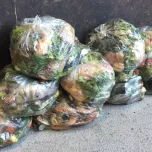 Hydropol™ Pellets to make digestible Food Waste Bags for Anaerobic Digestion