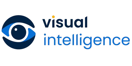 Visual Intelligence