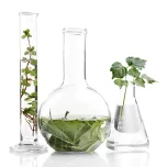 Product list