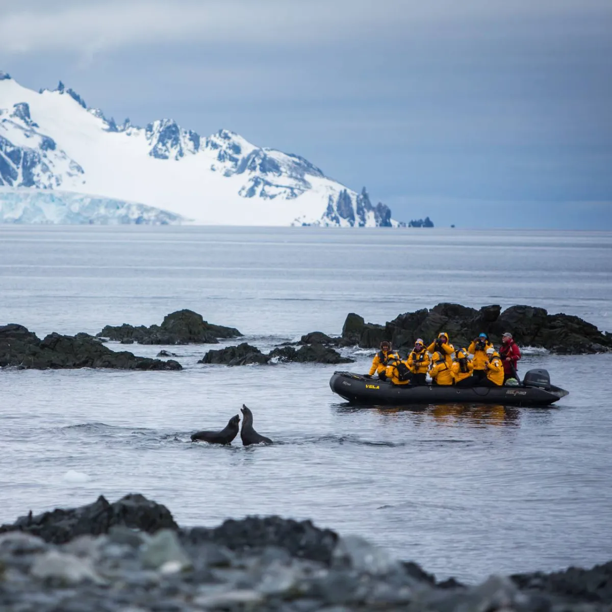 Antarctica 2021 Expedition