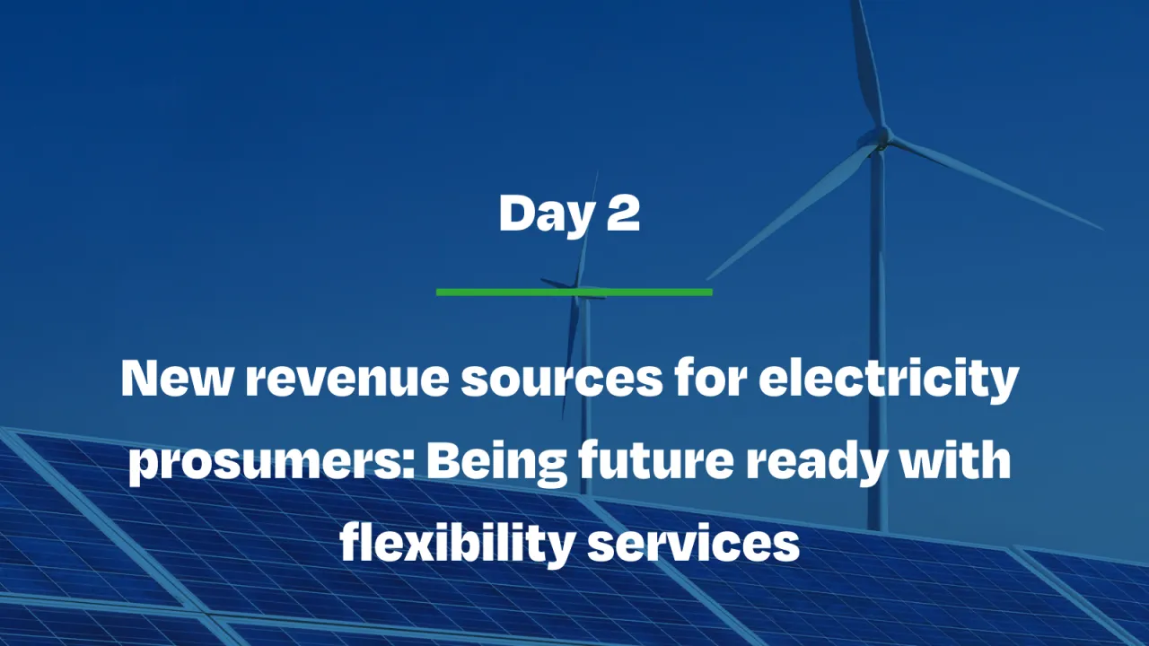 New revenue sources for electricity prosumers: Being future ready with flexibility services