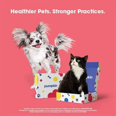 Pumpkin Pet Insurance