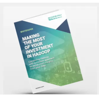 Making the Most of Your Investment in Hadoop