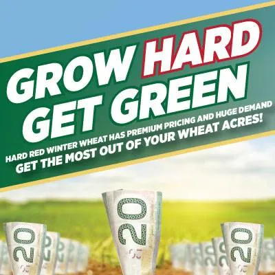 Hard Red Winter Wheat