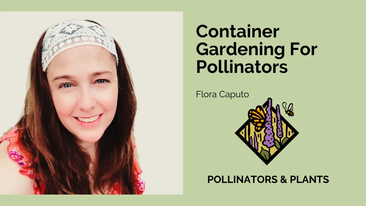 Container Gardening For Pollinators with Flora Caputo