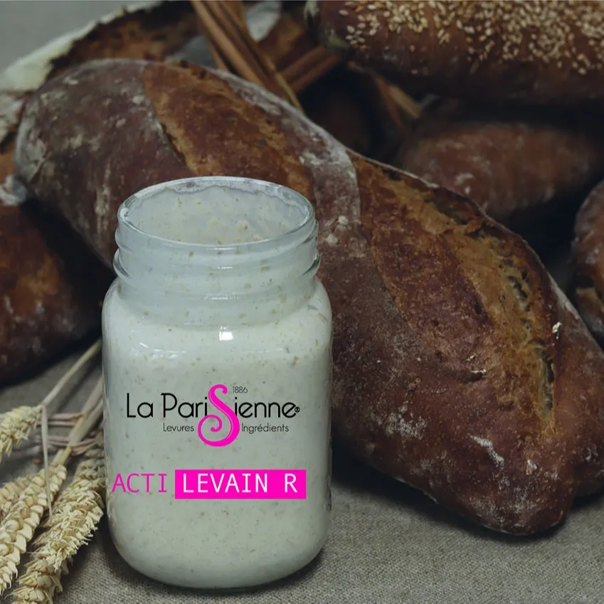 Acti Levain R