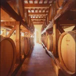 Vigna del Pruno - Riserva Sangiovese Superiore DOC Romagna