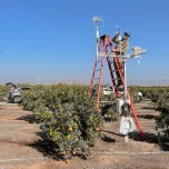 LI-COR LI-710 verdampingssensor