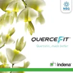 Indena - QUERCEFIT® (Quercetin Phytosome®)