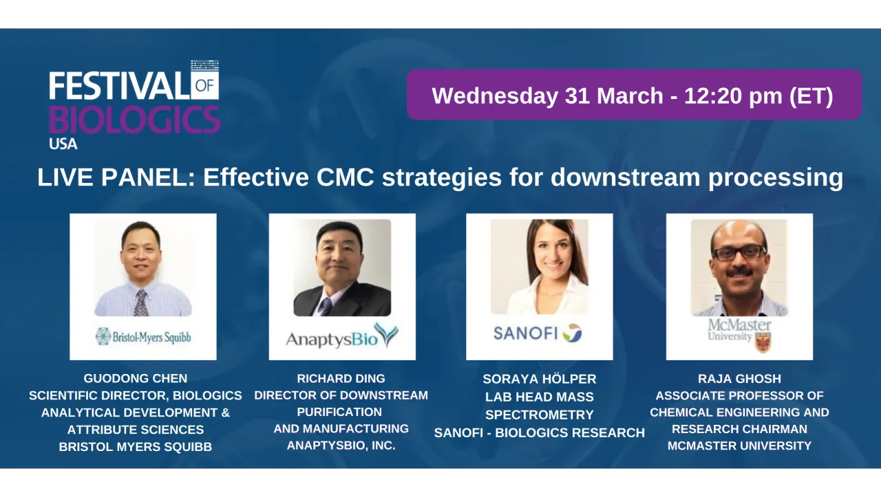 LIVE Panel discussion: Effective CMC strategies for downstream processing