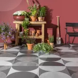 Core Collection Shapes