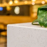 Silestone Specified at Contemporary Shake Shack Restaurant in Lakeside
