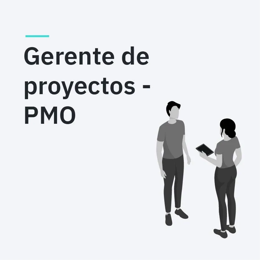 Gerente de Proyectos/PMO