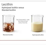 Emulsifiers & Lecithins