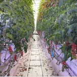 VGD GrowView