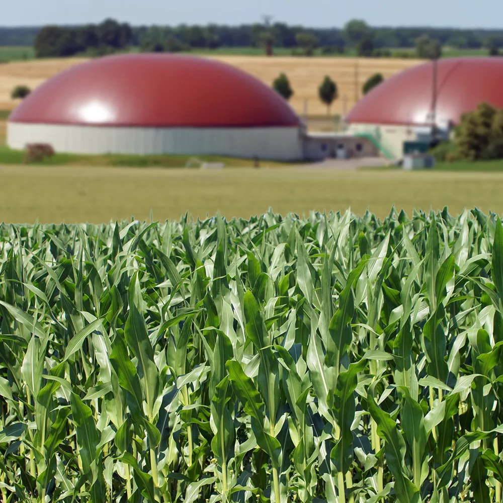 Anaerobic Digestion / Biogas Recruitment Services