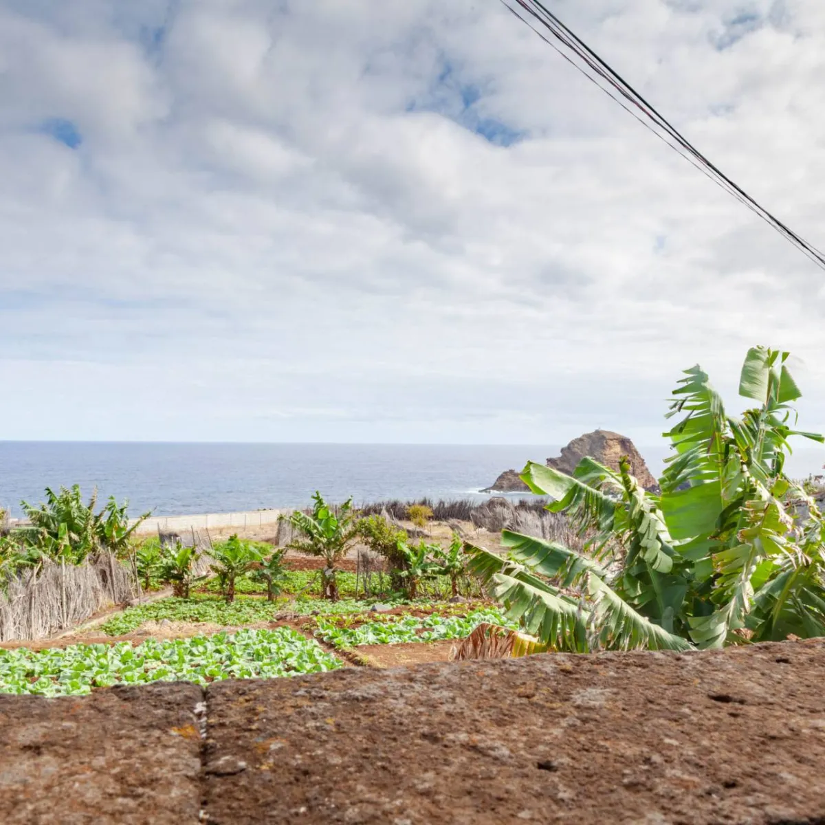 Traditional House / With Land (Porto Moniz)