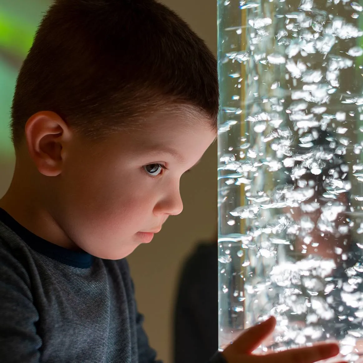 Sensory Processing with GriffinOT (Online)