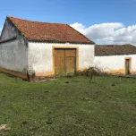 Property with 42 ha in Alentejo