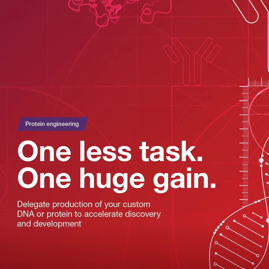 Invitrogen™ GeneArt™ Strings™ DNA Fragments Services