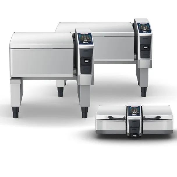 iVario Pro