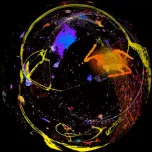 Everything from Here to Infinity