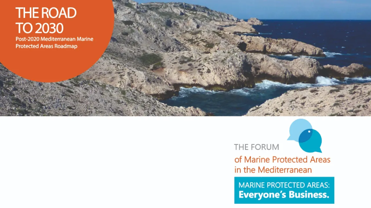 Because Marine Protected Areas are everyone's business: the MPA Forum/Roadmap process- Harnessing capacities and strength for a healthy Mediterranean Sea!