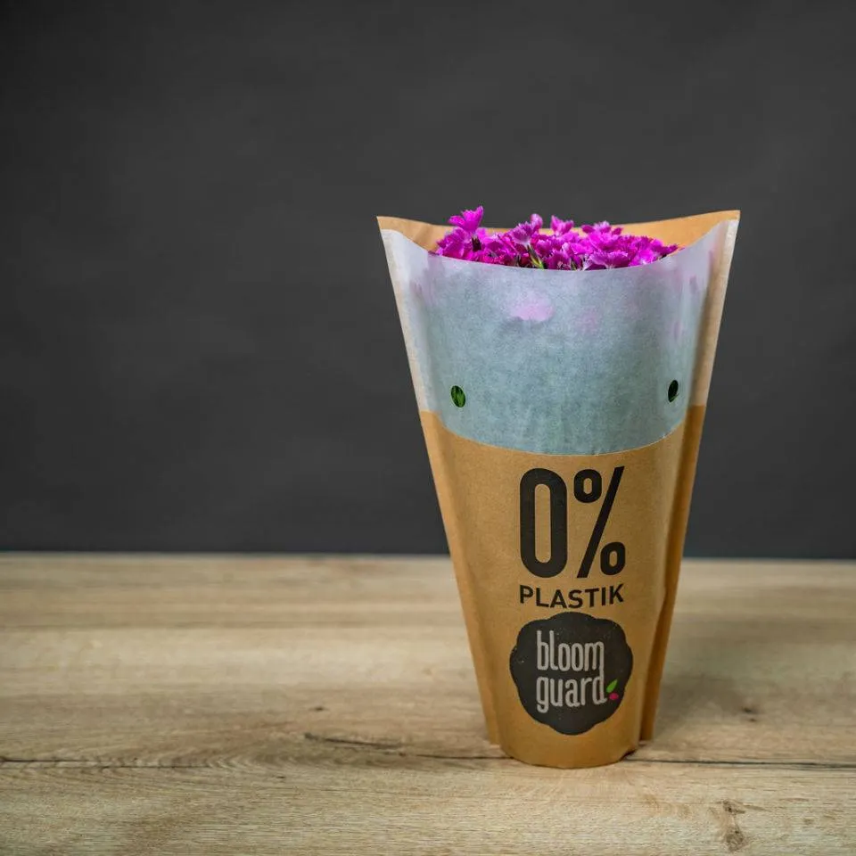 bloom guard Pergamin & Top View