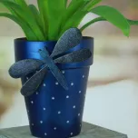 Americana Enchanted & Americana Enchanted Shimmer