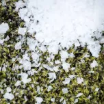 SALTVERK Flaky Sea Salt