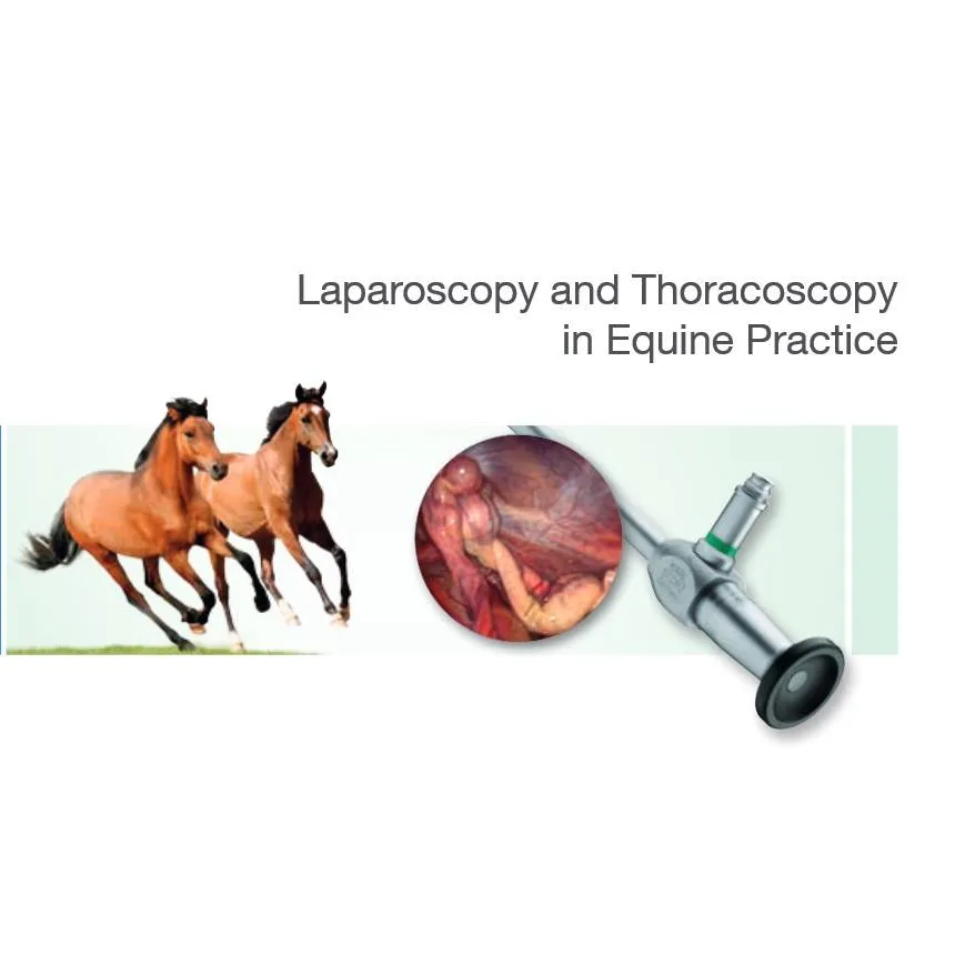 Laparoscopy and Thoracoscopy in Equine Practice