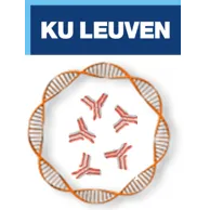 Building a next-generation platform for DNA-based antibody therapeutics